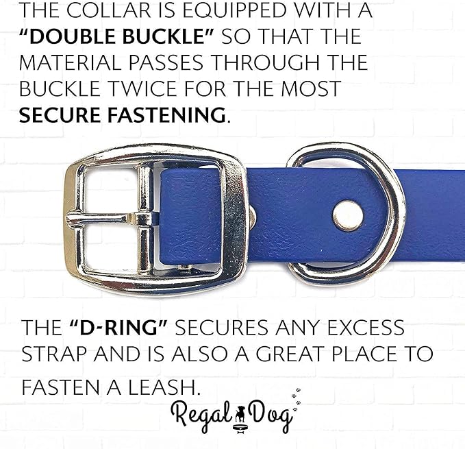 Regal Dog Products Small Blue Waterproof Dog Collars with Custom Engraved Name Plate | Vinyl Coated, Anti, Easy to Clean Personalized Biothane Dog Collar - Other Sizes for Medium & Large Dogs