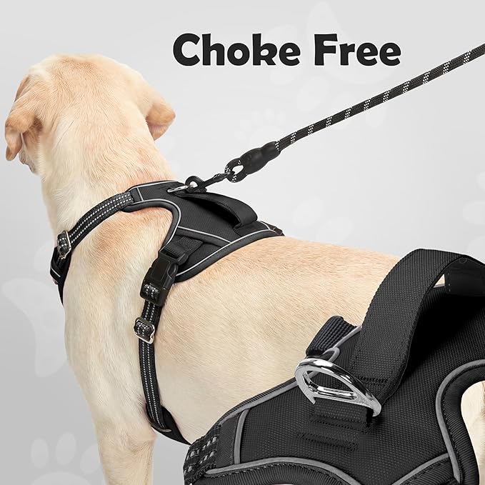 Funfox Dog Harness Small Sized Dog, Vertical Handle Easy Control, No Pull Pet Vest Adjustable with 2 Leash Clips, Soft Material, Reflective Safe Night Walking for Small Medium Large Breed, Black, S