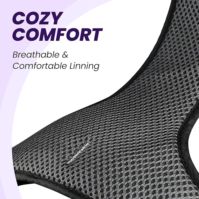 VIVAGLORY Dog Harness Easewalk No Pull Dog Harness with Handle Front Clip & Back Clip for Training Walking Lifting, No Pull Adjustable Easy On Padded Comfortable for Pet, S, Purple - Patterned