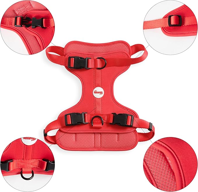 HNS1003M Arlo Large Adjustable Soft Padded No Pull Pet Harness with 3 Buckles and 3 Leash Clips, Shirley