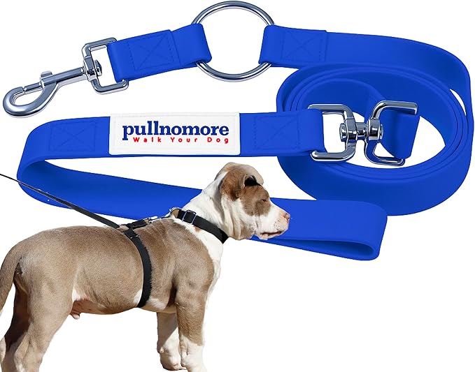 No-Pull Dog Leash, Chew Resistant, Waterproof, Durable PVC Material, Multiple Colors and Sizes (Blue, Large)