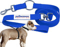 No-Pull Dog Leash, Chew Resistant, Waterproof, Durable PVC Material, Multiple Colors and Sizes (Blue, Small)