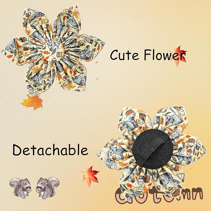 Elegant Little Tail Fall Squirrel Print Dog Collar with Soft Durable Flower Pet Collar for Small Dogs