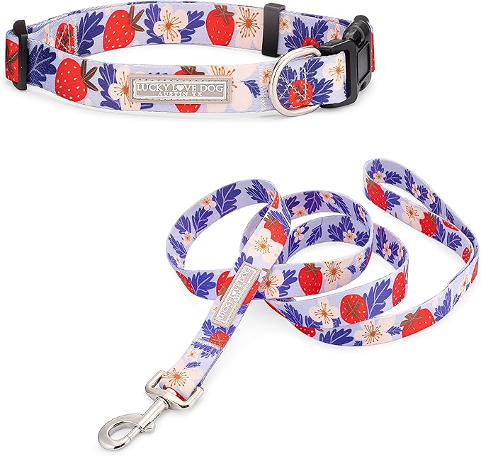 Lucky Love Dog - Easy Click Buckle Dog Collar with Leash Set Combo, Durable & Comfortable for Male & Female Dogs, Pet Collar for Large Dogs, Secure Fit - Sweet Berry Combo, Large