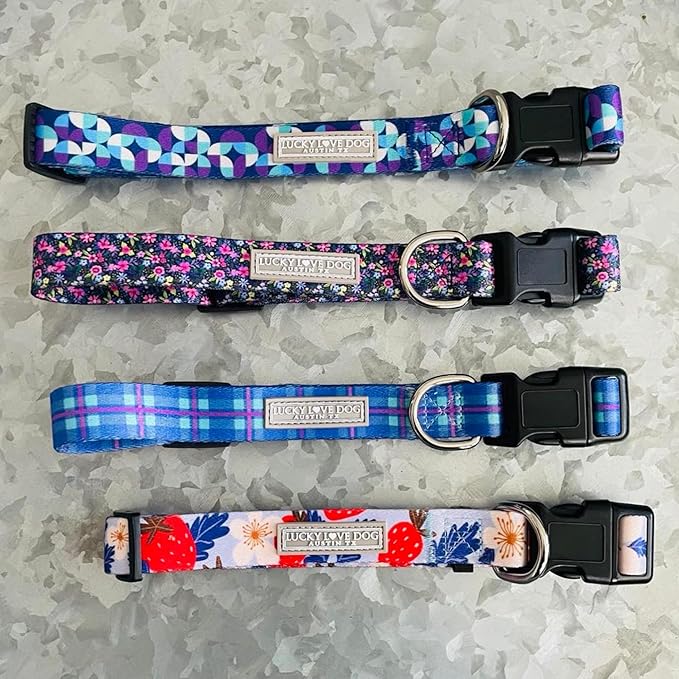 Lucky Love Dog - Adjustable Dog Collar and Leash Set with Easy Click Buckle for Large Dogs, Durable, & Comfortable Collar for Male & Female Dogs, Puppies & Adult Ones - Jasper Combo, XL