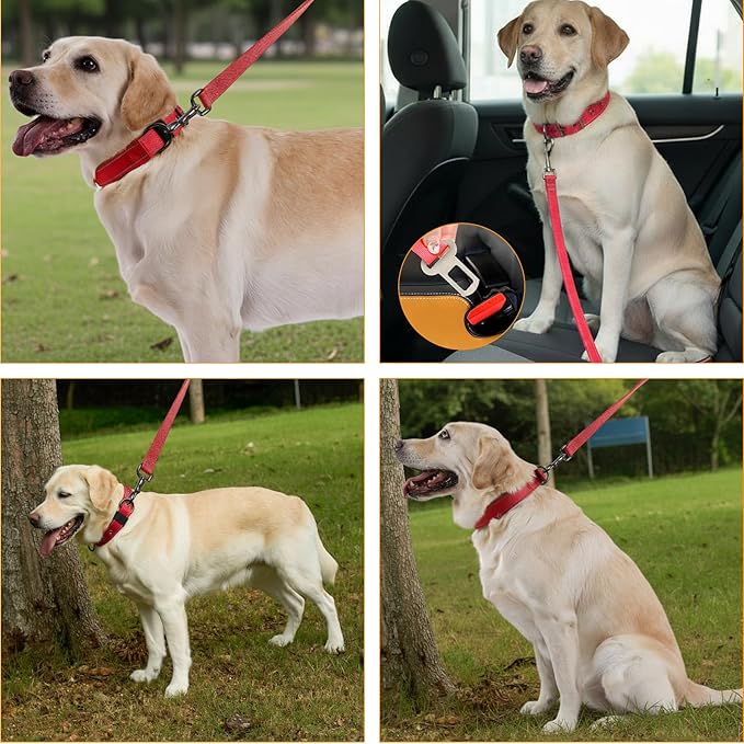 Annchwool Adjustable Dog Collar and 5 FT Leash Set with Heavy Duty Metal Buckle–Comfortable Lining Reflective Collar & Dual-Handles for Small Medium Large Dogs Walking,Running(Red Set,M:17''-23'')