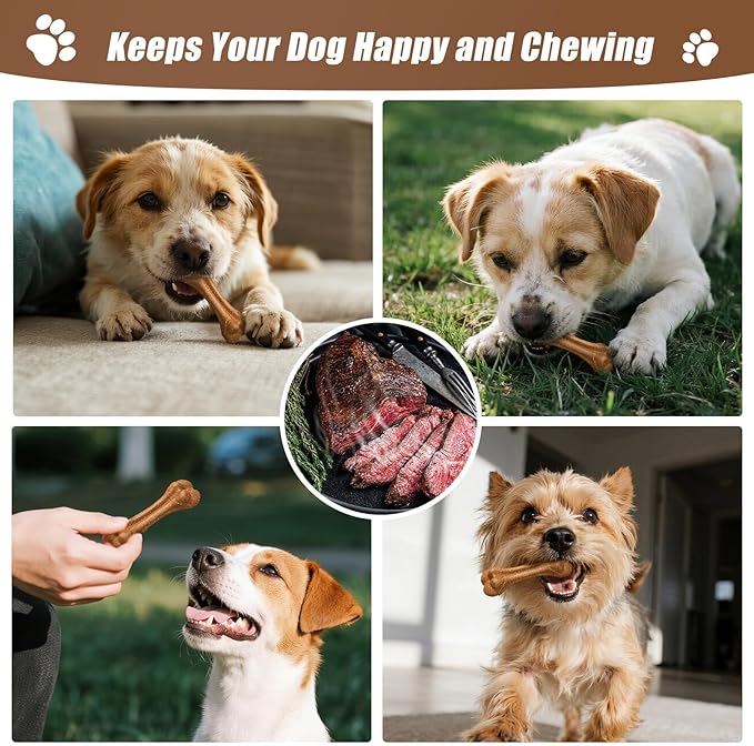SCHITEC Dog Bone Chew Toy for Small Dogs & Puppies, Beef Flavor Teething Toy, Durable Dog Toy for Aggressive Chewers, Teeth Cleaning, 1Pc