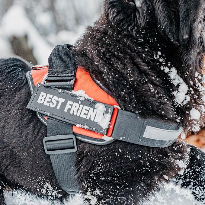 Personalized No-Pull Dog Harness with Name Patch, Adjustable, Reflective, Padded, Heavy Duty Pet Vest to Prevent Tugging, Pulling, or Choking, Training and Walking, Motorsport, S