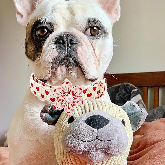 Elegant little tail Valentine's Dog Collar, Heart Dog Collar with Flower Cute Girl or Boy Pet Collars with Flower Puppy Gift Adjustable Pet Collars for Small Dogs