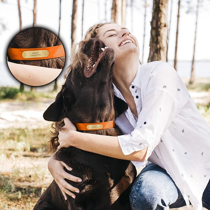Regal Dog Products Large Orange with Custom Engraved Waterproof Dog Collar and Leash Set | Waterproof Dog Collar with Double Buckle & D Ring - 5'ft Leash | Matching Dog Collar and Leash for Dogs