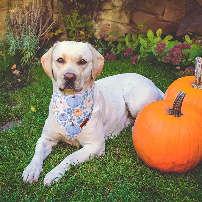 ADOGGYGO Thanksgiving Dog Bandana, Fall Leaves Pumpkin Pet Scarf, Premium Durable Fabric, Adjustable Fit Thanksgiving Bandanas for Extra Large Dogs Pe (X-Large)