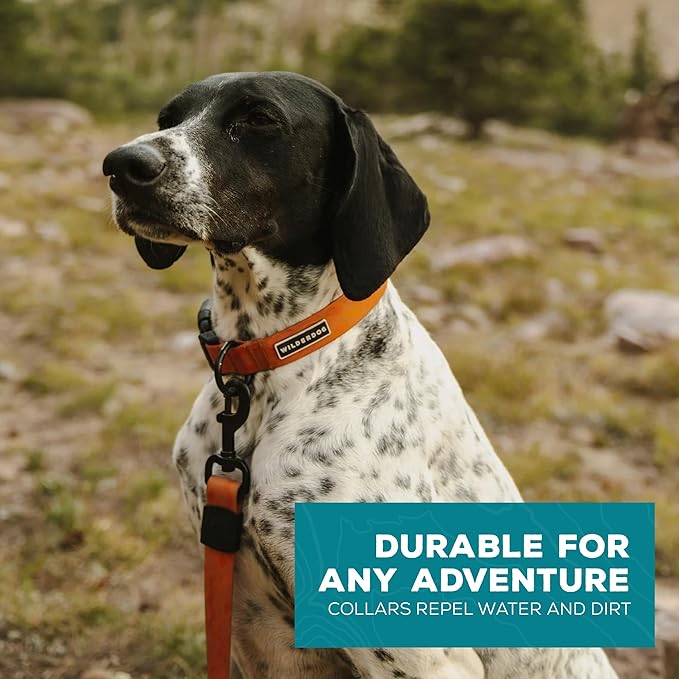 Wilderdog Waterproof Dog Collar - Repels Water & Dirt - Medium 13"-18" - Terracotta