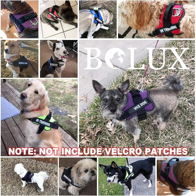 Bolux Dog Harness, No-Pull Reflective Dog Vest, Breathable Adjustable Pet Harness with Handle for Outdoor Walking - No More Pulling, Tugging or Choking (Purple, L)