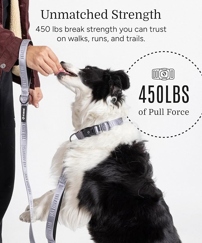 2026 New Edition, Fei & Eve MagEase Dog Collar - Patented Magnetic Buckles | Fur-Safe | Premium 210D Nylon | 450LB Escape-Proof | Adjustable Fit | Large (Twilight Gray)