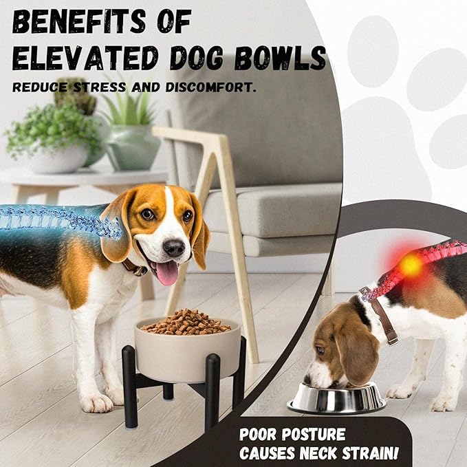 Raised Ceramic Dog Bowl - Elevated Food Water Dish with Stainless Steel Stand - for Small to Medium Dogs - 6 Inch - 2 Cups (28.75 fl oz) - Black