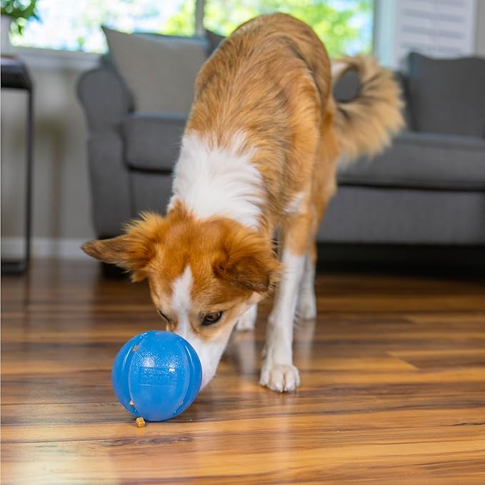 Outward Hound Guru Treat-Dispensing Puzzle Ball Dog Toy, Blue