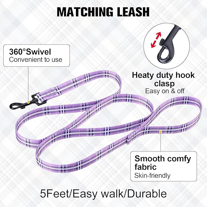 BEAUTYZOO No Pull Dog Harness and Leash Set - Adjustable Step-in Puppy Harness for Small Medium Large Dogs, Escape Proof Soft Nylon Vest with Double D Ring for Walking Running Training, Purple S