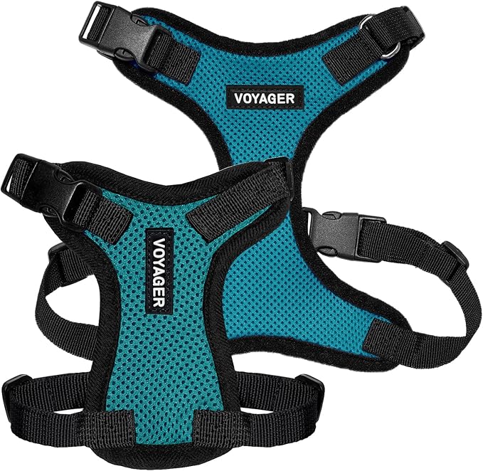 Voyager Step-in Pet Harness - All Weather Mesh, Adjustable Step in Harness for Cats and Dogs by Best Pet Supplies - Turquoise/Black Trim, XS