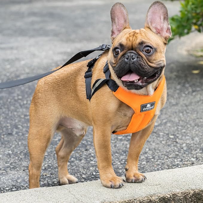 Clickit Sport Plus - Crash-Tested and Safety Certified Car Seat Belt Harness for Dogs (Medium, Orange Dream)