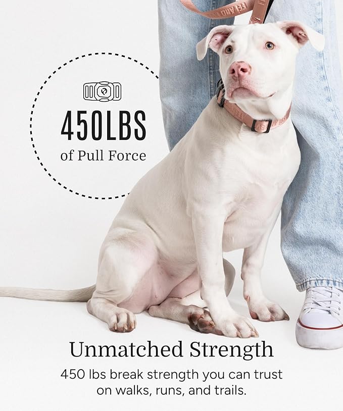 2026 New Edition, Fei & Eve Classic Dog Collar - Quick Release Metal Buckles | Fur-Safe | Premium 210D Nylon | 450LB Escape-Proof | Adjustable Fit | Medium (Blush)