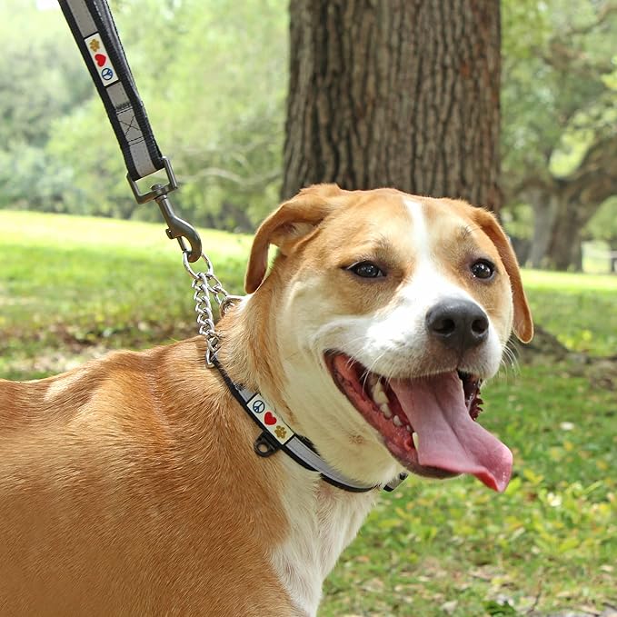 Pawtitas Martingale Dog Collar with Chain a Reflective Dog Training Collar for Large Dogs | Nylon No Pull Dog Collar for Large Dog - Green