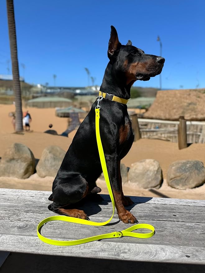 6ft Long Leash for Dogs - 1000lb Strength, Waterproof with Stainless Steel Hardware, Durable Long Dog Leash for Large Breeds