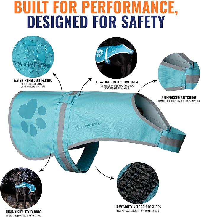 SafetyPUP XD Dog Reflective Vest – Hi-Vis Fluorescent Visibility That Helps to Safeguard Your Pet On/Off Leash in Urban & Rural Areas (Teal, Large)