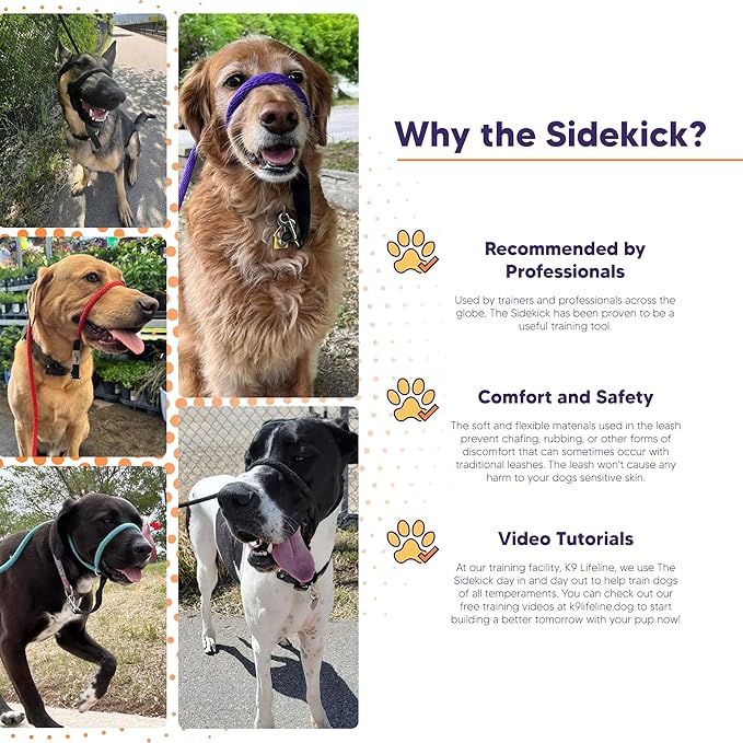 The Sidekick® – Heather's Heroes