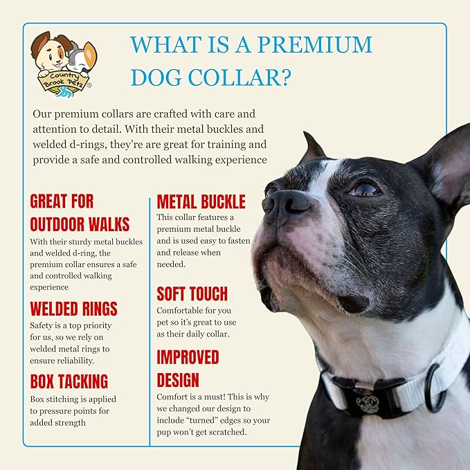 Country Brook Petz - Premium Nylon Dog Collar with Metal Buckle for Small Medium Large Breeds - 10+ Cool Colors (Small, 3/4 Inch, White)