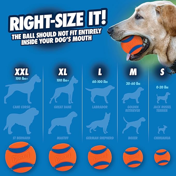 Chuckit! Ultra Ball Dog Toy - Size XL - for Dogs 100+ lbs - Made from Durable Rubber - Super Bouncy - Floats in Water - 3.5-inch Diameter - (Pack of 2)