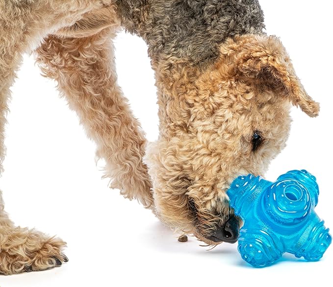 GURU Pet: Puzzle Jack - Medium - 5.5" Blue Dog Toy, Interactive Treat Dispensing, Slow Feeding, Easy Loading, Durable Chew, Tumble-Bounce-Solve-Play