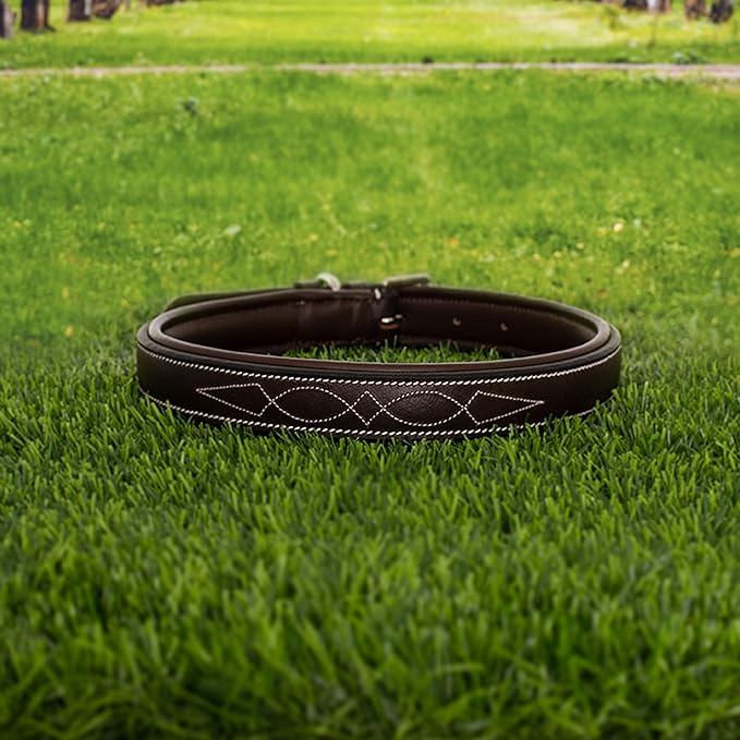 Exion Geniun Leather Dog Collar Designer Stitched Soft Leather Padded- Suitable for Small Medium Large X-Large Dogs for Walking Running- Oak Brown with Havana Padding