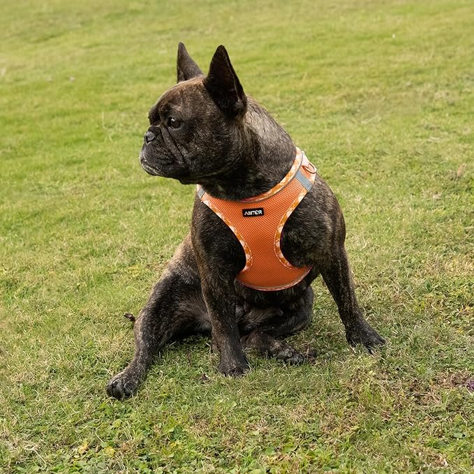 AMTOR Small Dog Harness with Leash Set, No Escape Easy Walk Puppy Harnesses for Training Walking, Step-in Reflective Soft Dogs Vest for XS S Medium Extra-Small Large Sized Dog(XS Size,Orange/White)