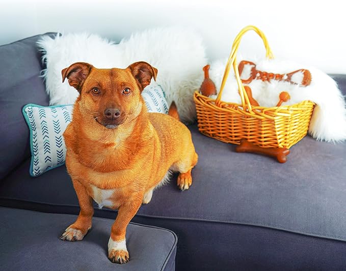 Fuzzy Puppy Dog Toys for Aggressive Chewers: All-Natural Rubber, Durable Dog Chew Toy, Great Teething Toys for Puppies | DOGGO Bone, Extra Large (FP-Toy09)