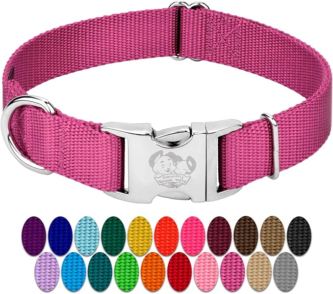 Country Brook Petz - Premium Nylon Dog Collar with Metal Buckle for Small Medium Large Breeds - 10+ Warm Colors (Small, 3/4 Inch, Rose)