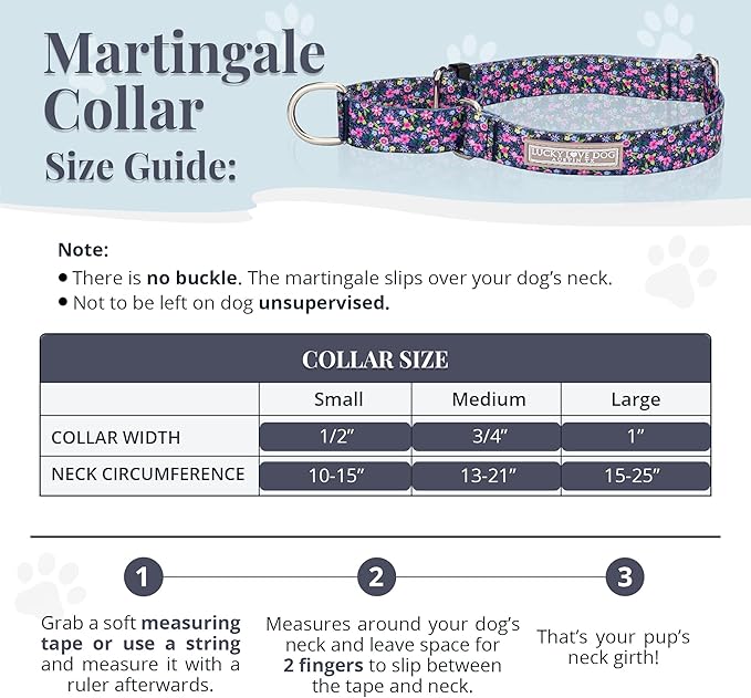 Lucky Love Dog Martingale Dog Collar - Adjustable, No-Slip, Durable, & Soft Webbing Collar for Male and Female Dogs Ideal for Training & Walking - Primrose, Large