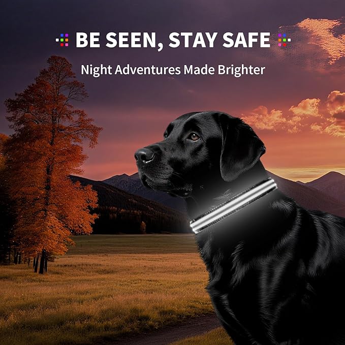PetIsay Dog Light up Collar for Night Walking - High Visibility LED Dog Collar - Rechargeable - Waterproof - Reflective - Adjustable Lighted Glow Collars(White,XLarge)