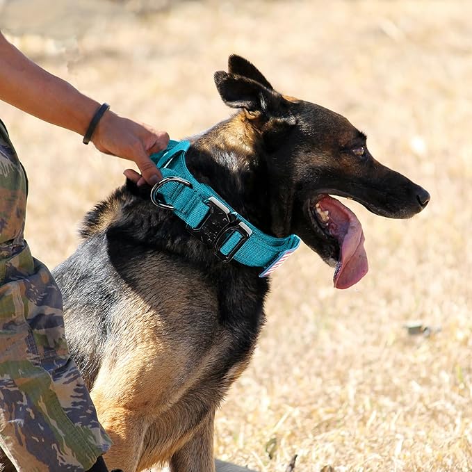 Tactical Dog Collar Military Dog Collar Adjustable Nylon Dog Collar Heavy Duty Metal Buckle with Handle for Dog Training,with Patches(Light Blue 1, XL)