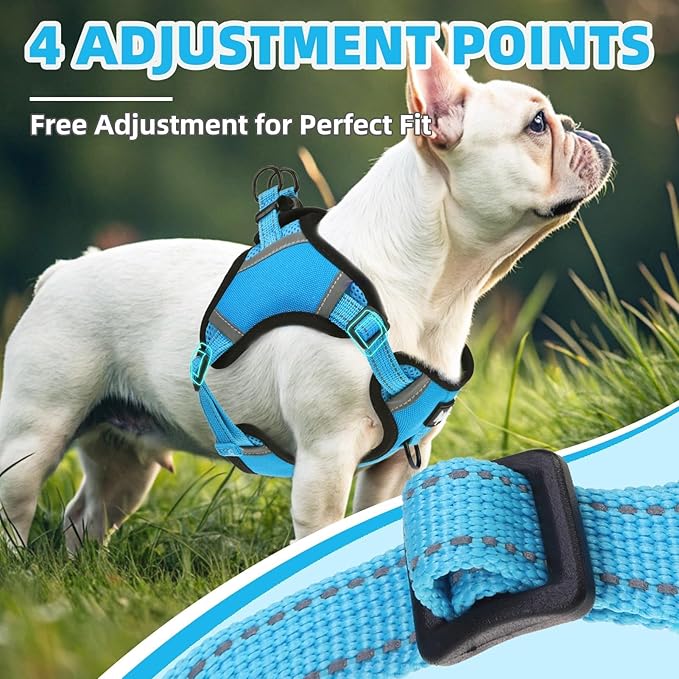 PUPTECK No Pull Dog Harness Small Medium Sized Dog, Adjustable Reflective Escape Proof Easy Control, Comfortable Soft Padded Step in Pet Vest Harness, Blue, M