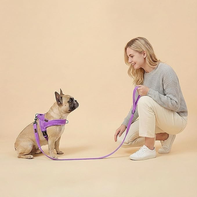Didog Soft Flannel Padded Dog Vest Harness, No Pull/Quick Fit Reflective Dog Strap Harness, Easy for Training Walking (S:Chest 18-22", Purple)