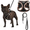 AMTOR Small Dog Harness with Leash Set, No Escape Easy Walk Puppy Harnesses for Training Walking, Step-in Reflective Soft Dogs Vest for XS S Medium Extra-Small Large Sized Dog(BlackYellow,XXXS)