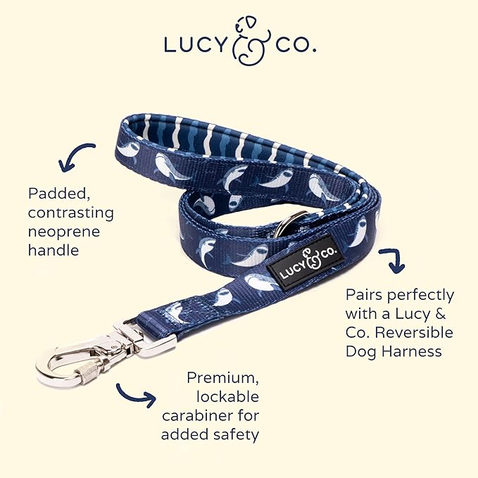 Lucy & Co. Shark Attack Dog Leash - 5-Foot Designer Dog Leash for Small, Medium or Big Dogs or Puppies Puppy - Pet Accessories & Supplies
