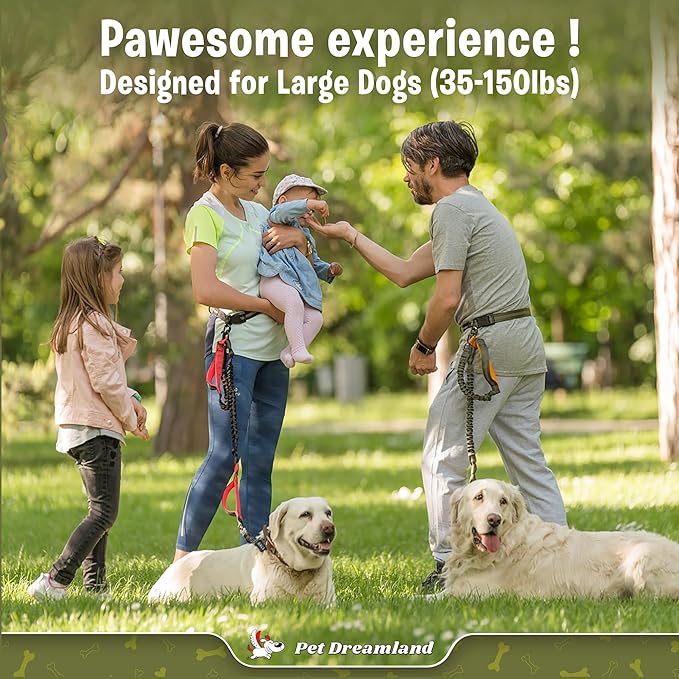 Pet Dreamland Exquisite Hands-Free Leash for Large Dogs. Ultimate Comfort & Freedom for Walking, Running, Hiking. Premium Quality & Versatile Waist Belt. Your Dog Will Love This Running Leash.