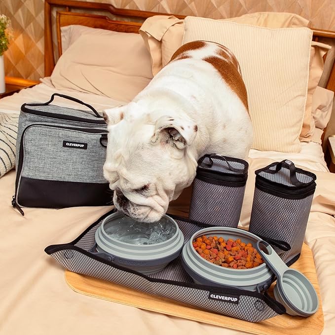 Cleverpup, Large 7-Piece Bistro Box Dog Food Travel Kit, 12-BPA-Free Cup Kibble Storage, 2 Silicone Bowls, Mat & Scoop - Portable Pet Food Kit for Weekends, Overnights, Daycare & Camping, Heather Grey