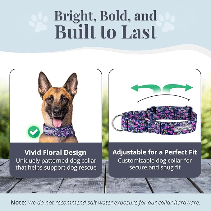 Lucky Love Dog Wide Martingale Dog Collar - No-Slip, Durable, & Soft Webbing 1.5 inch Martingale Collar for Dogs Male and Female Ideal for Training & Walking - Primrose, Large