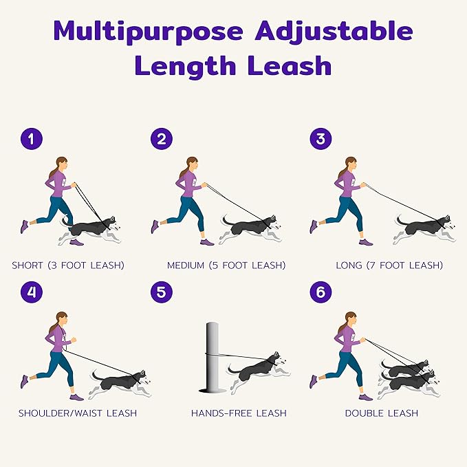 Jelly Pet Multi-Purpose European Style Leash l Made in America l Stronger Than Leather l Waterproof and Easy to Clean (5/8", Royal Blue)