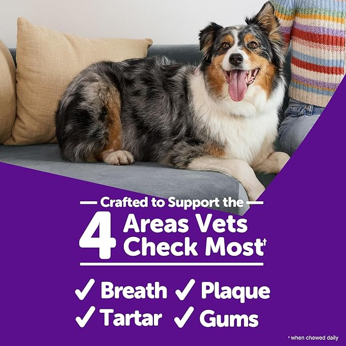 WHIMZEES Wellness Brushzees Dog Dental Treats, Natural Chews, Medium Size Stick, (12 Count)