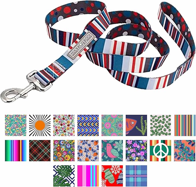 Lucky Love Dog Leash – Soft, Durable, and Comfortable Leash with Vibrant Patterns – Stylish and Long Lasting for Small Male and Female Dogs – Linus, Small