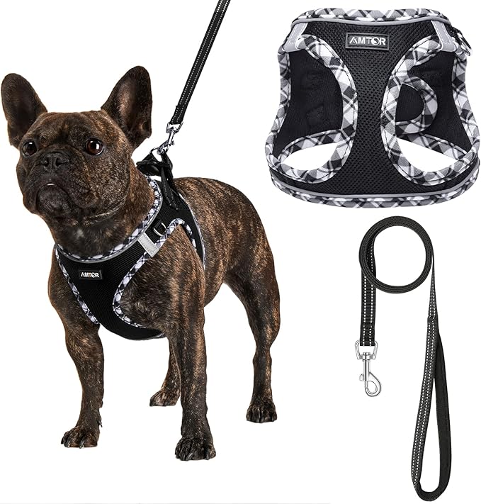 AMTOR Dog Harness with Leash Set,No Pull Adjustable Reflective Step-in Puppy Harness with Padded Vest for Extra-Small/Small Medium Large Dogs and Cats(Blackwhite),XLarge(Chest:19.5''''-23''''