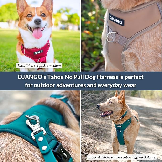 DJANGO Tahoe No Pull Dog Harness – Escape-Proof Dog Harness for Medium & Large Dogs w/Front & Back Clips for Everyday Use – Adjustable, Padded, Reflective, Secure, Easy On/Off – Hibiscus Pink, Large
